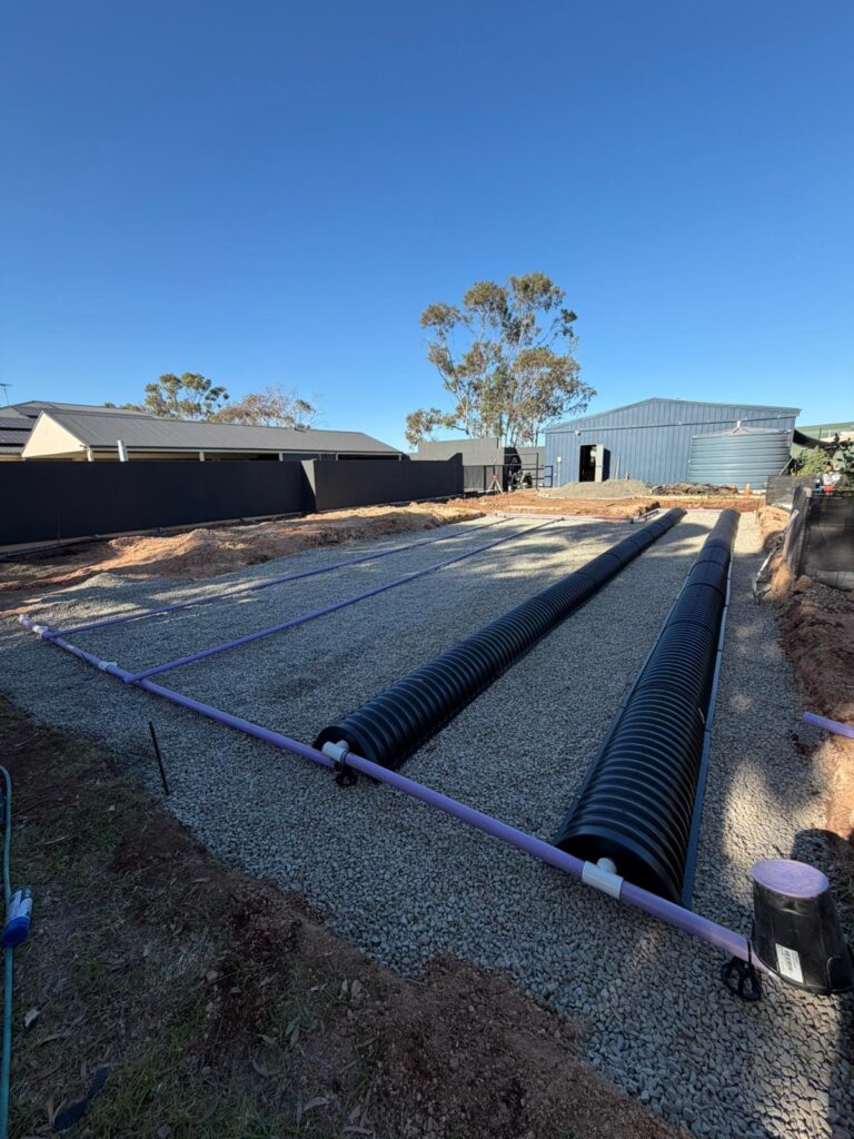 whatsapp image 2026 03 10 at 10.25.31 am